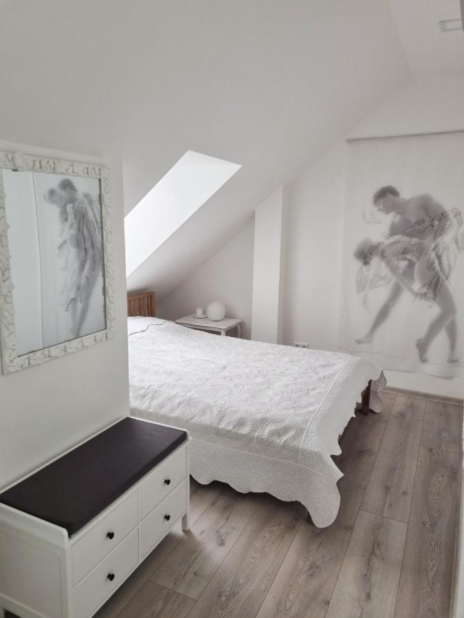 Gallery Balta Apartments Kaunas Bagian luar foto
